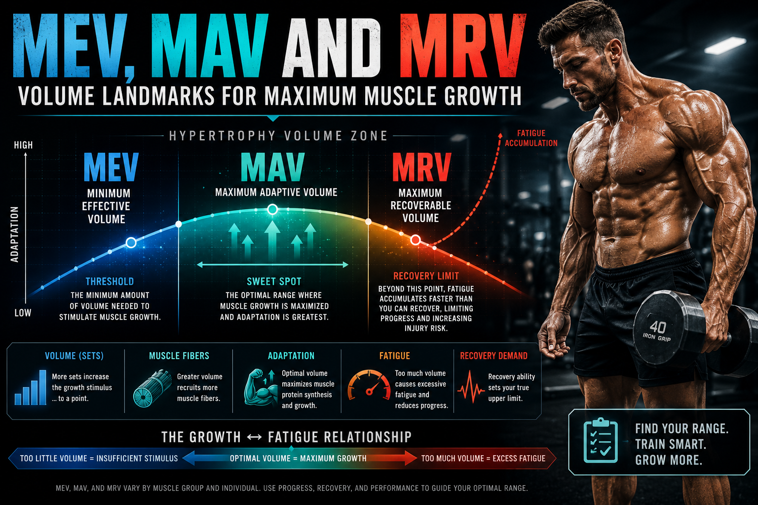 MEV,-MAV-and-MRV-Volume-Landmarks-for-Maximum-Muscle-Growth